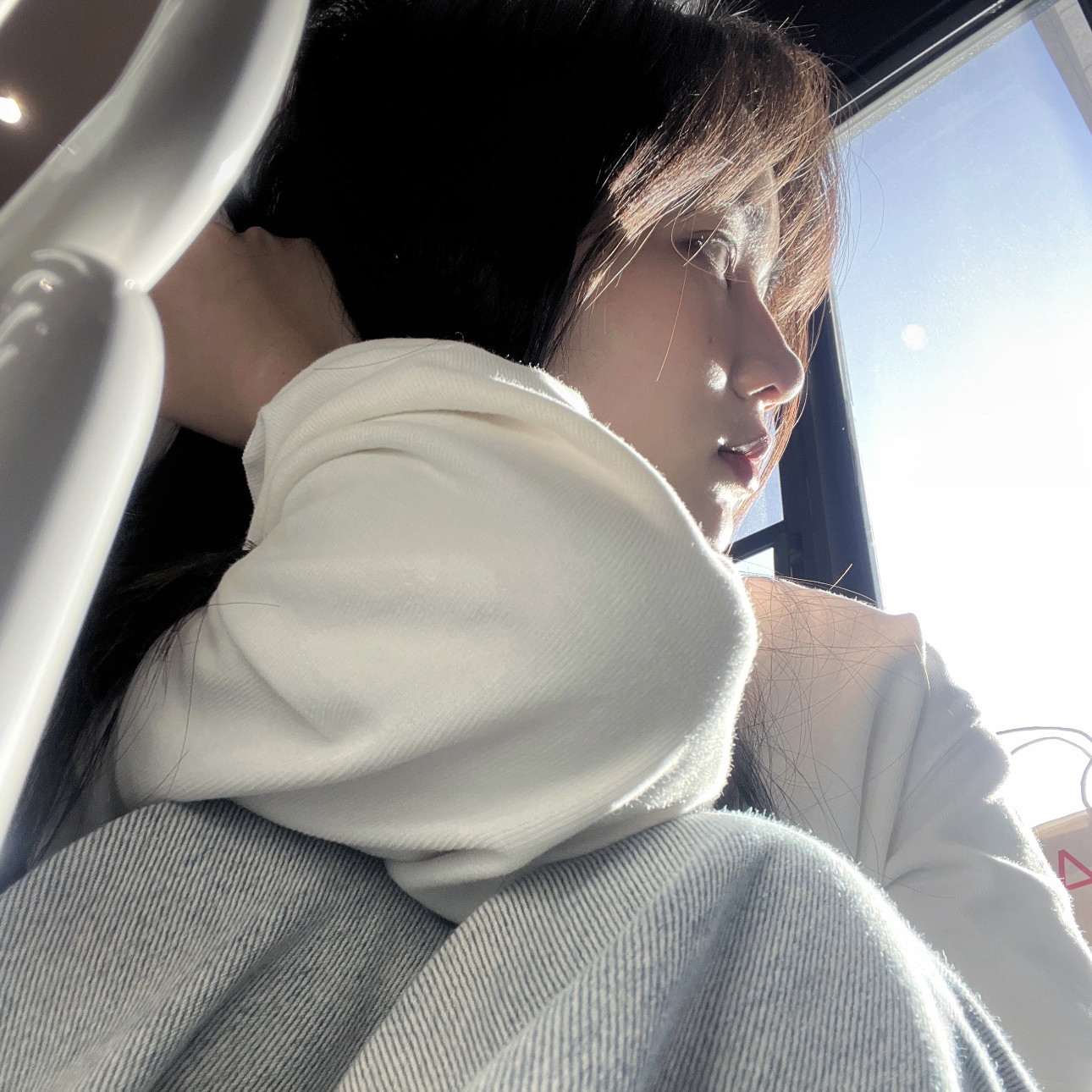 Staffordshire Bull Terrier